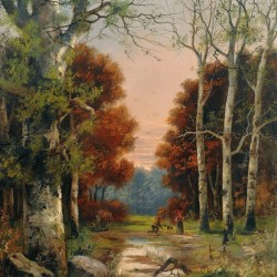 A forest from Austria